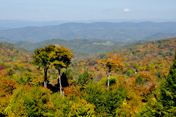 fall colors 